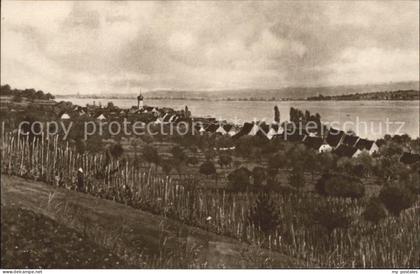Allensbach Bodensee am Bodensee Gemaelde