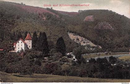 Ansichtskarte Neckargemuend Kuemmelbacherhof Neckargemuend