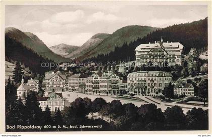 BAD RIPPOLDSAU-SCHAPBACH Panorama