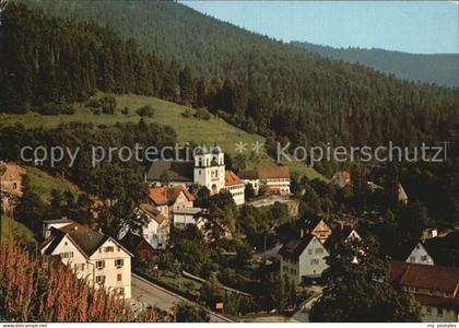Bad Rippoldsau Schwarzwald Moorbad Kloesterle
