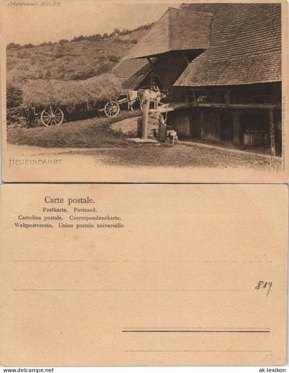 Baden-Württemberg Schwarzwald Landwirtschaft Heu-Einfahrt Ochsen Fuhrwerk 1900