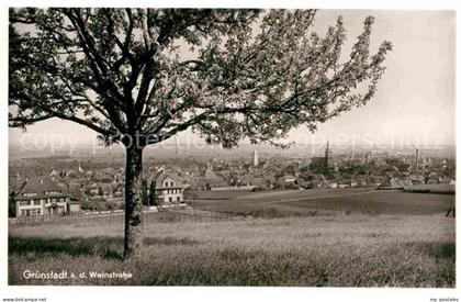Gruenstadt Panorama