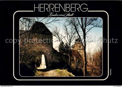 Herrenberg Wuerttemberg Stadttor