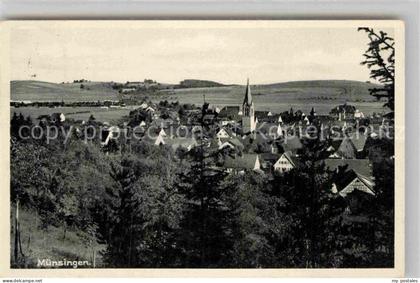 Muensingen BW Panorama