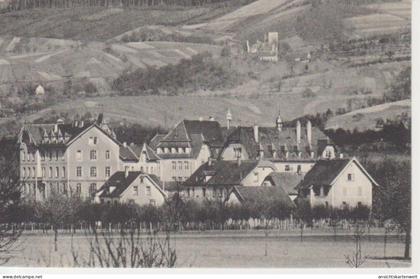 Sasbach Lendersche Anstalt gl1910 #206.600