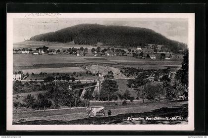 AK Bärenstein, Panorama