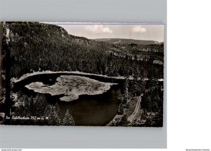 50306877 - Baiersbronn