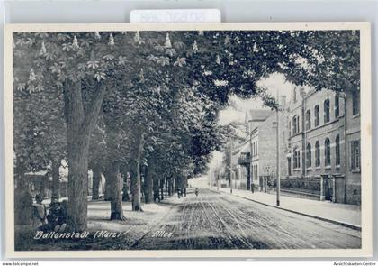 50630268 - Ballenstedt