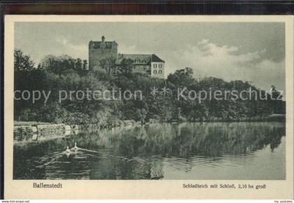 Ballenstedt Schlossteich Schloss