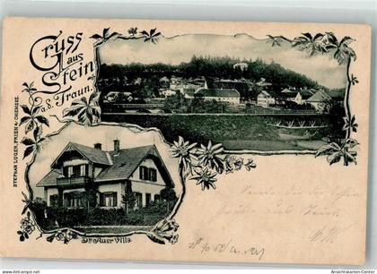 13525840 - Stein a d Traun