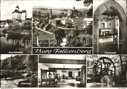 Falkenberg Oberpfalz Burg Falkenberg