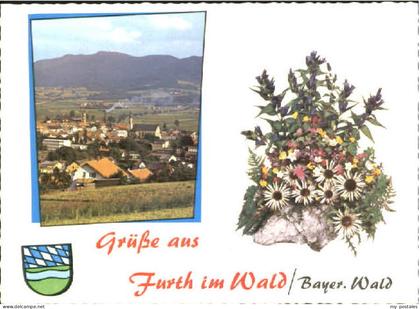 Furth Wald Furth Wald