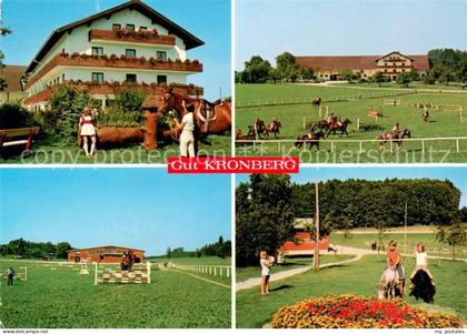 Kronberg Hoeslwang Gut Kronberg Reitplatz Springreiter Ponys
