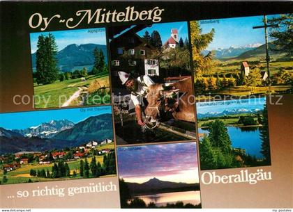 Oy-Mittelberg Alpspitze Mittelberg Schwarzenberger-Weiher Gruentensee Daumen