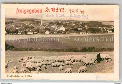Pfaffenhofen Ilm Panorama Schafherde