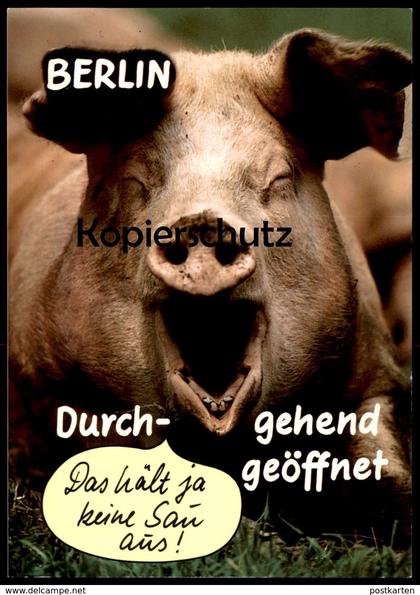 ÄLTERE HUMOR POSTKARTE BERLIN DURCHGEHEND GEÖFFNET BERLINER MAUER mur the wall Schwein Sau pig cochon