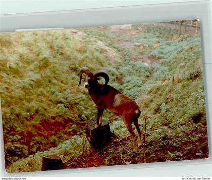 40087466 - Beverungen