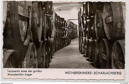 Bingen Rhein Bingen