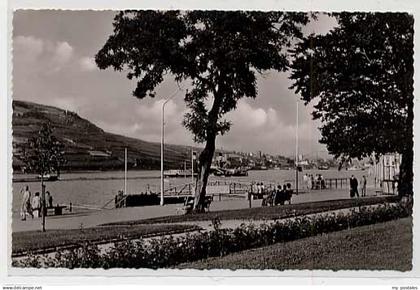 Bingen Rhein Bingen