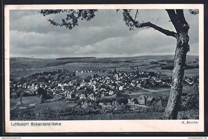 AK Birkenfeld-Nahe, Gesamtansicht