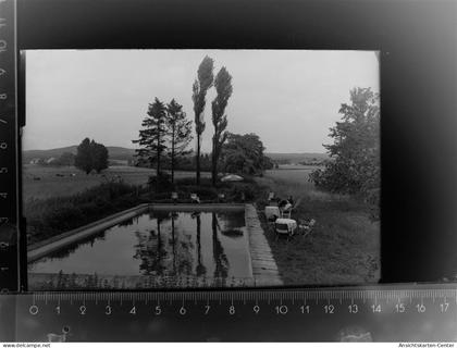 30104959 - Ravensberg b Bramsche, Hase