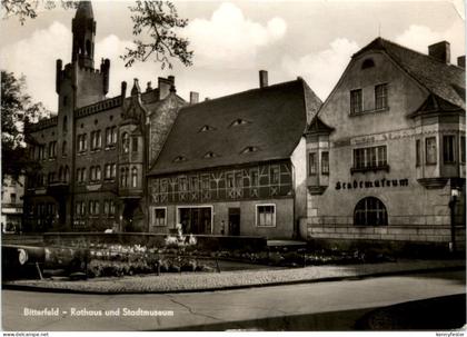 Bitterfeld, Rathaus und Stadtmuseum
