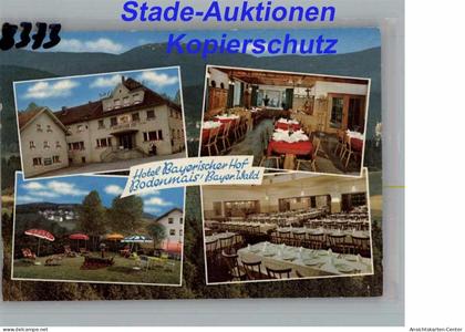 50281929 - Bodenmais