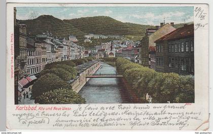 (74301) AK Karlsbad, Karlovy Vary, Alte und Neue Wiese, 1905