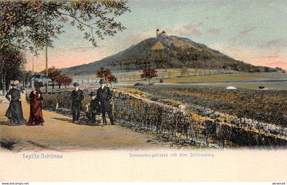 Schlossbergstrasse mit dem Schlossberg Teplitz-Schönau Böhmen Mähren Postkarte