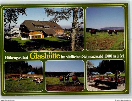 11048675 - Glashuette , Schwarzw