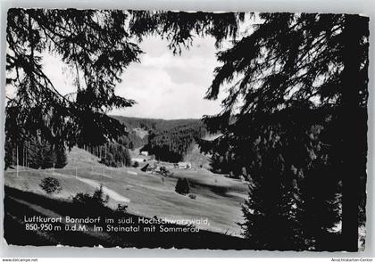 50504985 - Bonndorf im Schwarzwald