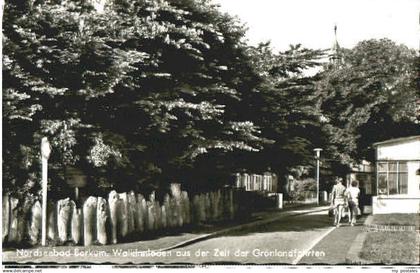 Borkum Walkinnladen