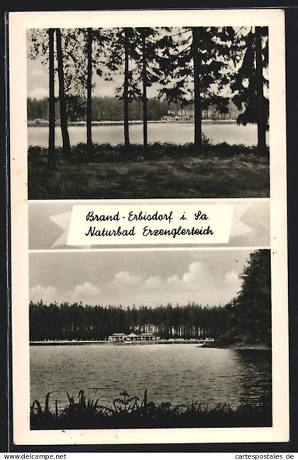 AK Brand-Erbisdorf, Partie im Naturbad Erzenglerteich