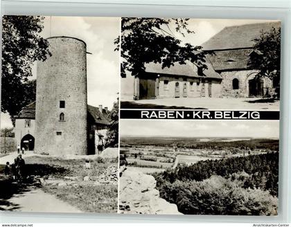 10200103 - Raben b Niemegk