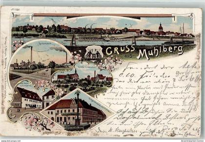 13637969 - Muehlberg , Elbe