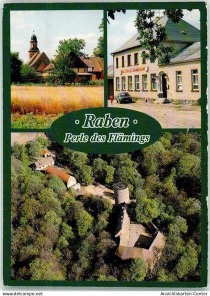 39386249 - Raben b Niemegk