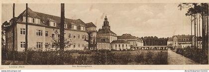 50348723 - Lindow Mark