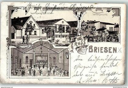 13634961 - Briesen Mark