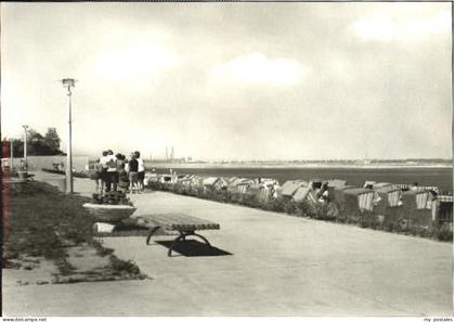 Senftenberg Niederlausitz Senftenberg