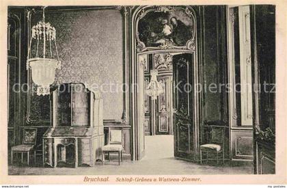 Bruchsal Schloss Gruenes Watteauzimmer