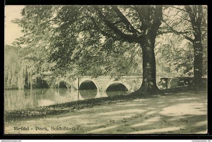 AK Brühl, Park, Schlossbrücke