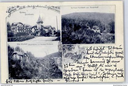 51479874 - Buehlertal