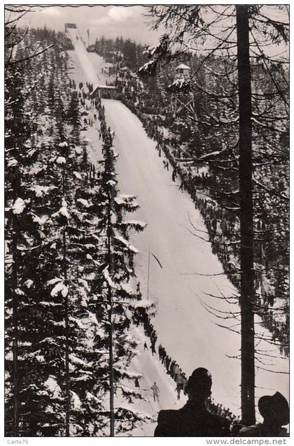 Allemagne - Clausthal-Zellerfeld - Sorung Chanze i. Mönchstal bei Clausthal-Zellerfeld - Tremplin Saut à Ski