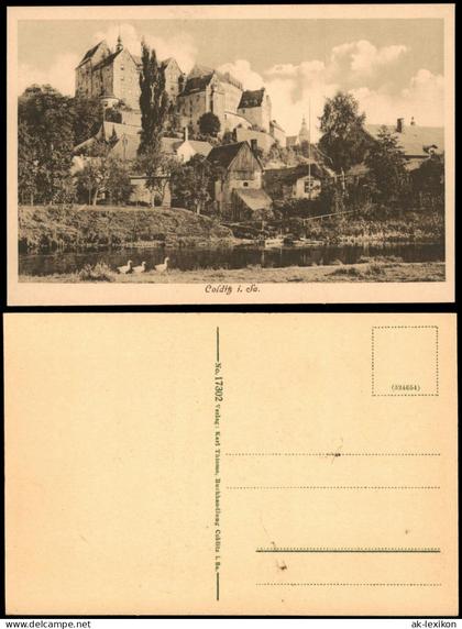 Ansichtskarte Colditz Partie an der Stadt 1913