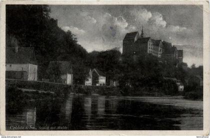 Colditz i. Sa., Schloss mit Mulde