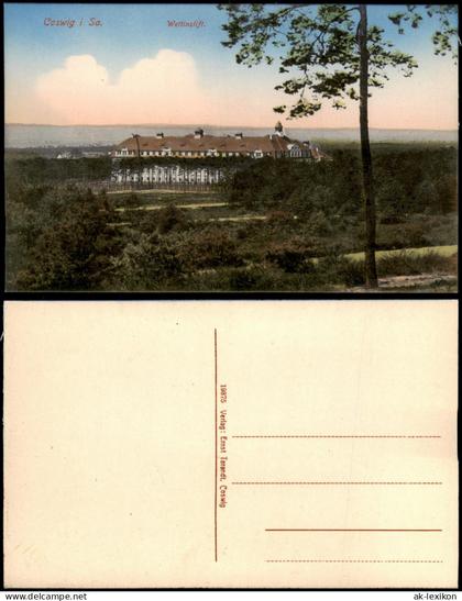Ansichtskarte Coswig (Sachsen) Fernsicht auf den Wettinstift. 1915