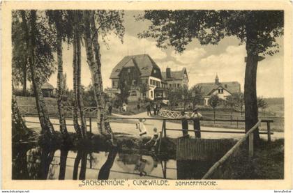 Cunewalde - Sachsenhöhe