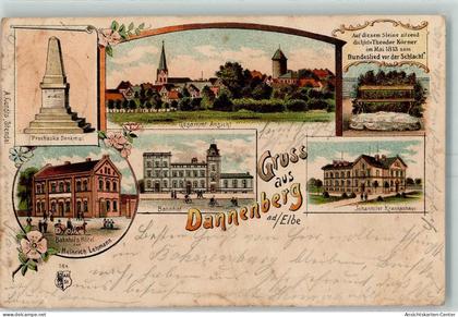 13429689 - Dannenberg Elbe