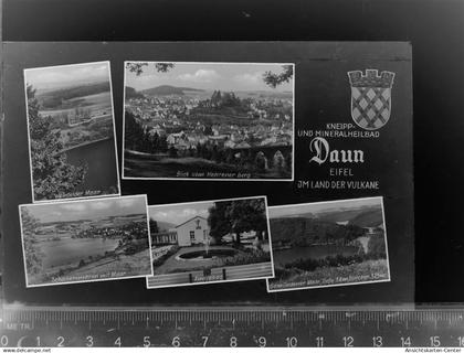 30067049 - Daun