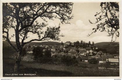 Daun - vom Wehrbüsch